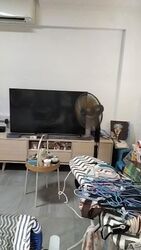 Blk 69 Toa Payoh Vista (Toa Payoh), HDB 3 Rooms #580262911